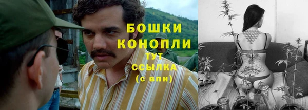 прущая мука Елабуга