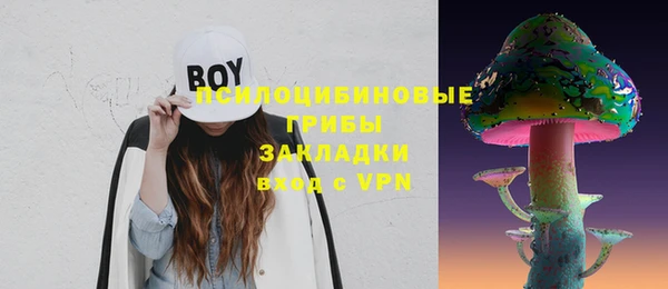 прущая мука Елабуга