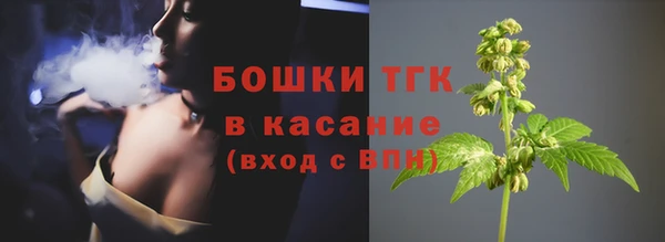прущие крисы Шарыпово